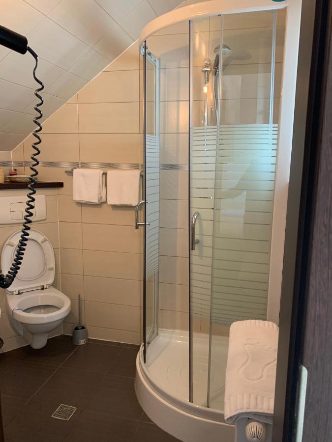 Caransebeş Vila Palace מראה חיצוני תמונה